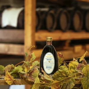 Aceto Balsamico classico Daniele 5 Stern